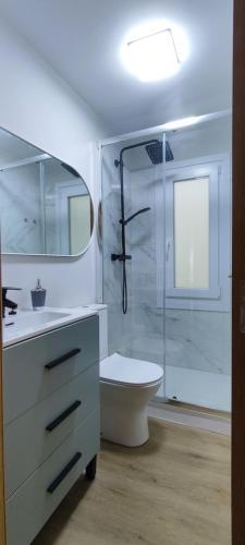 Un baño con ducha, lavabo e inodoro. en Céntrico espacioso y muy luminoso, en Villasana de Mena