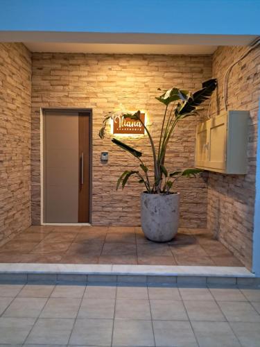 a plant in a pot in front of a building at ILIANA.APARTMENTS in Kardamaina