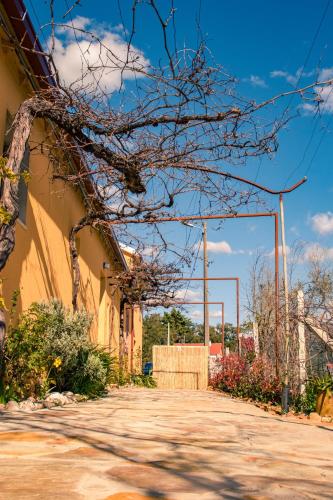 an empty street with a gate in front of a building at Quinta-lina de serpins in Serpins