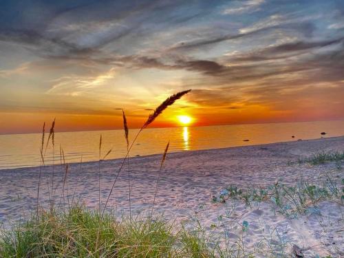a sunset on a beach with the sun setting at The Flower Nest in Zvejniekciems