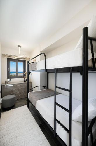 Adam's Suite