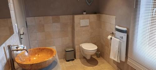une salle de bain avec un lavabo et des toilettes dans l'établissement Charme authentique au coeur de saint victor malcap, à Saint-Victor-de-Malcap