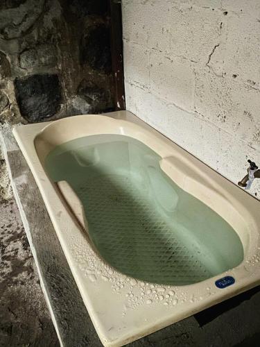 a bath tub filled with green water next to a wall at Casa Amanda in Villa de Alvarez