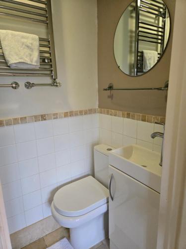 a bathroom with a toilet and a sink and a mirror at Wayside B&B in Norwich
