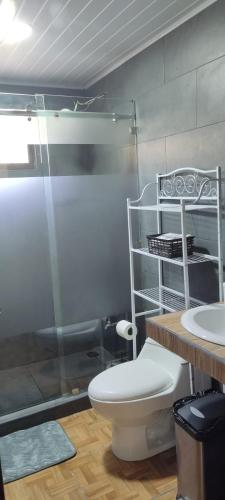 a bathroom with a shower and a toilet and a sink at Capi-Capi Retreat in Puntarenas