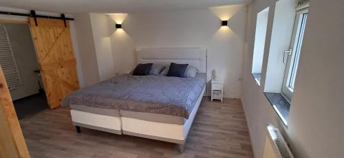 a bedroom with a large bed with blue pillows at Ferienwohnung nähe Marburg und Gießen in Fronhausen
