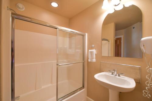 a bathroom with a shower and a sink and a mirror at Lakeshore Lodging Lodge 709 in Homer
