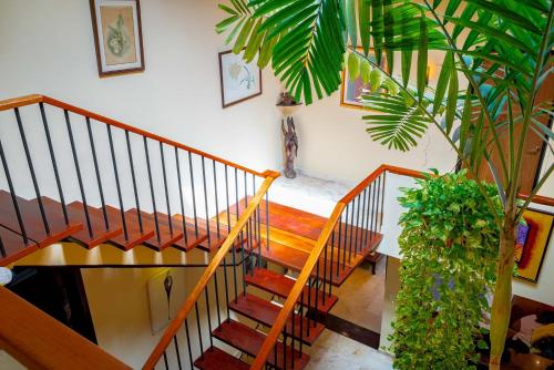 パナマシティにあるCasa Orquídea Panamáのギャラリーの写真