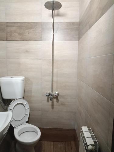 a bathroom with a toilet and a sink at Dona Guest House - Horse Riding in Koprivshtitsa