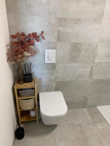 une salle de bain avec des toilettes blanches dans une chambre dans l'établissement Superbe T2 avec terrasse, à Bastia