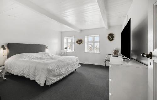 Μια τηλεόραση ή/και κέντρο ψυχαγωγίας στο Nice Home In Sejerø With Wifi