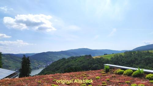 a view of a valley from a hill with a house at Appartement In Medenscheid Mit Garten Und Terrasse in Bacharach