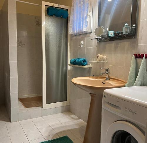 une salle de bain avec un lavabo et une machine à laver dans l'établissement Domaine Mare e Monti - T2 Les Mimosas, à Albitreccia