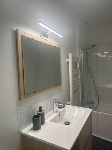 La salle de bains est pourvue d'un lavabo avec miroir et d'une douche. dans l'établissement Workshop Hypercentre, à Angers