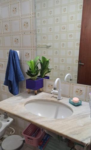 a bathroom sink with a potted plant on it at Quarto da Orla in Cabo Frio