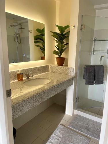 un bagno con lavandino, specchio e pianta in vaso di 5 Star Luxury Condo - Metro Manila a Manila