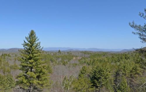a view from the top of a hill with trees at Majestic View in Mashburn Mill