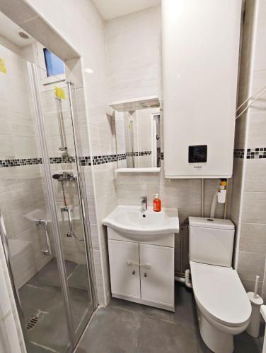 une salle de bain avec toilettes, lavabo et douche dans l'établissement Comfortable Loft and apartment for 2 or 4 persons, à Alfortville