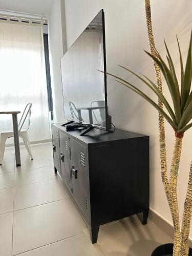 a black cabinet with a mirror and a potted plant at Apartamentos Vernia 3-9 in Xàtiva