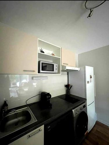 une petite cuisine avec un évier et un micro-ondes dans l'établissement Appart Cosy de Kalou, à Colombelles