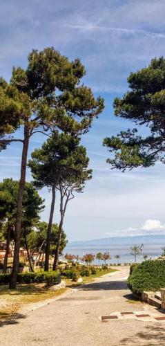 a dirt road with trees on the side of it at Sea view Anika by Vellaris, Luxury Mobile Home in Mali Lošinj