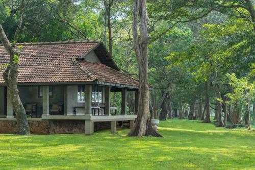 a small house in a park with a tree at Habarana Village by Cinnamon in Sigiriya