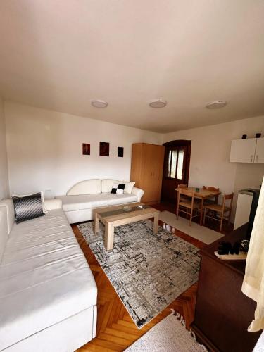 Una sala de estar con un sofá blanco y una mesa. en Zinzula 3, en Šušanj