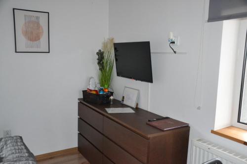 TV a/nebo společenská místnost v ubytování Rooms Silesia