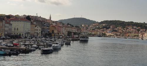 a bunch of boats are docked in a harbor at Sea view Anika by Vellaris, Luxury Mobile Home in Mali Lošinj