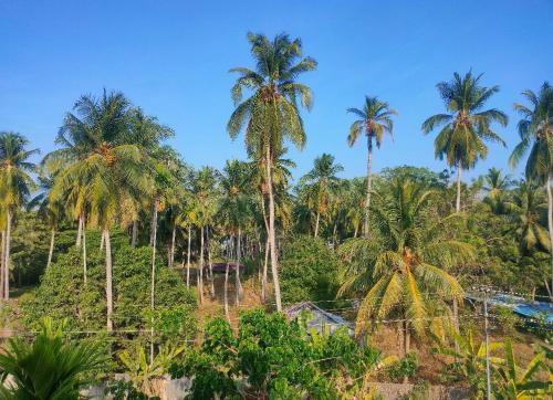 a group of palm trees on a hill at ANIBESH HOTEL in Havelock Island