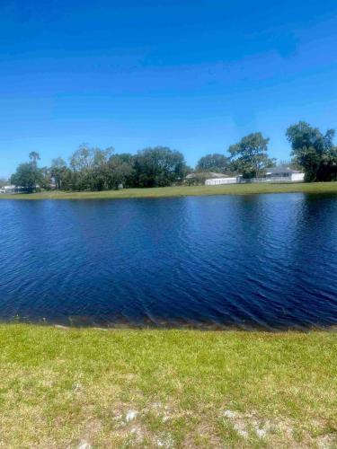 a large lake with grass and trees in the background at paradise vacation luxury home in Palm Bay
