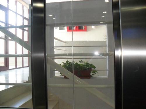 a glass door with a potted plant in a room at Hotel Lo Monte in Pilar de la Horadada