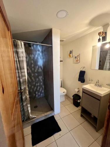 a bathroom with a shower with a sink and a toilet at La Casita del Centro in Creel