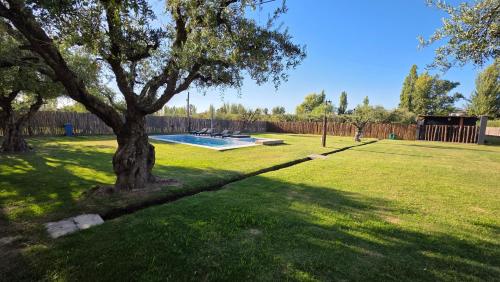 Πισίνα στο ή κοντά στο OlivaNegra Resort - Oliva1