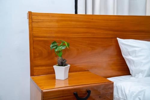 a potted plant sitting on a wooden table next to a bed at Unit number 1 in Nkunjila