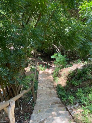 a path in a garden with a fence and trees at Cabañas Uma 1 in San Agustinillo