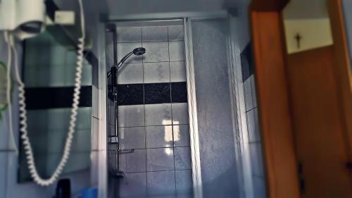 a shower in a bathroom with a glass door at Hotel Al Cavallino in Arnstorf