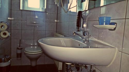 a bathroom with a sink and a toilet at Hotel Al Cavallino in Arnstorf