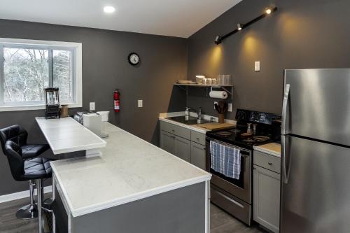 a kitchen with a stainless steel refrigerator and a sink at Modern Nimitz Cabin on 19 Acres with Fireplace and WiFi in Nimitz