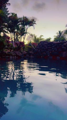 a pool of water with palm trees and a stone wall at MIRZ Accomodation in Pacific Harbour