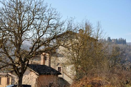 een oud stenen gebouw met een boom ervoor bij Agriturismo I Gelsi di Santa Cristina in Gubbio