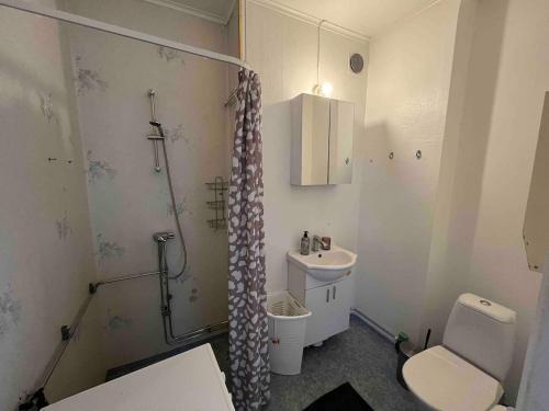 a bathroom with a shower and a toilet and a sink at Krylbo Avesta in big wooden house in Krylbo