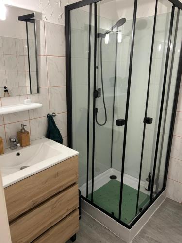 une salle de bain avec douche et lavabo dans l'établissement Appartement sur les hauteurs de Gérardmer, à Gérardmer