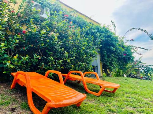 two orange benches sitting in the grass next to a building at Verde Amanecer in Doradal