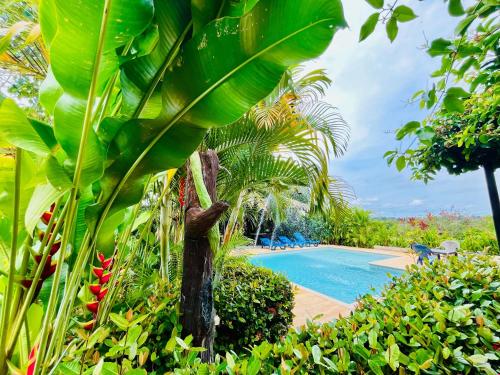 a resort with a swimming pool and some plants at Verde Amanecer in Doradal
