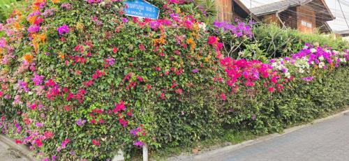 Κήπος έξω από το Siriwan Hostel