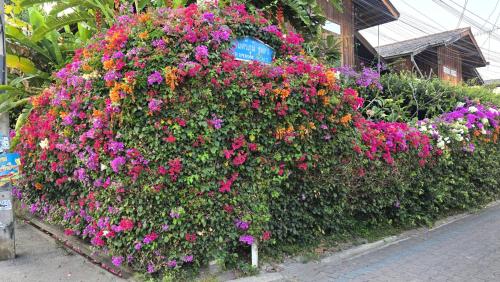 Κήπος έξω από το Siriwan Hostel