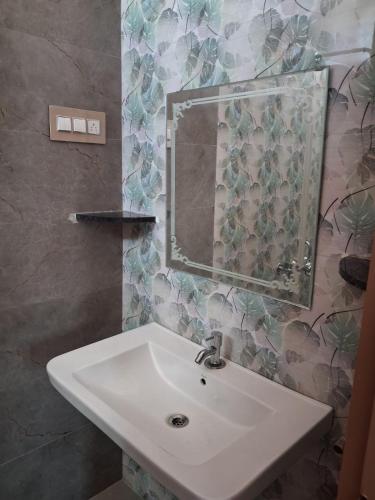 a bathroom with a white sink and a mirror at Home Stay in Ambasamudram Premika Bhavan in Ambāsamudram