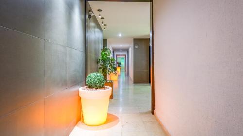a hallway with two potted plants in a building at Homesuites Rotarismo in Culiacán