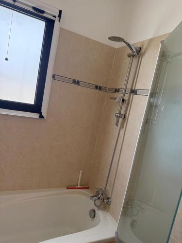 a bathroom with a tub and a shower with a window at Green valley Tersefanou in Tersephanou